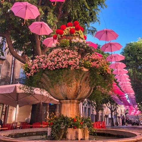 The Grasse Rose Festival Villa HippoCampo