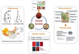 A Comprehensive Review On The Ethnobotany Phytochemistry Pharmacology