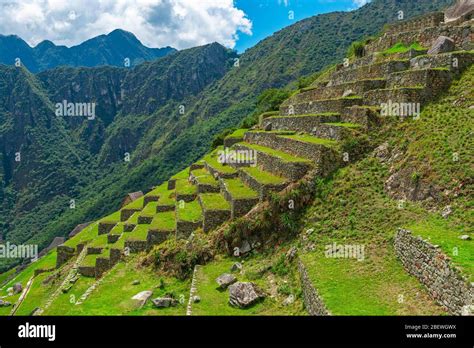 Agriculture Terraces In The Inca Ruin Of Machu Picchu Cusco Peru