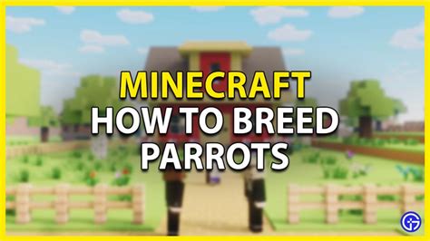 How To Breed Parrots In Minecraft Gamer Tweak