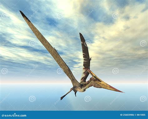 Dinosaurio Pteranodon Del Vuelo Stock De Ilustraci N Ilustraci N De