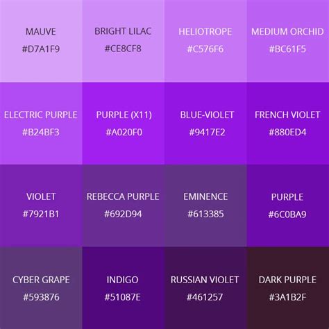 Meaning of the Color Purple And Its Symbolism (2024) • Colors Explained