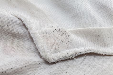 How To Remove Mould From Fabric In 9 Steps Homebuilding