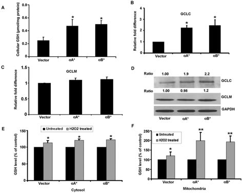 Cellular Gsh Levels In Arpe Cells Stably Overexpressing A