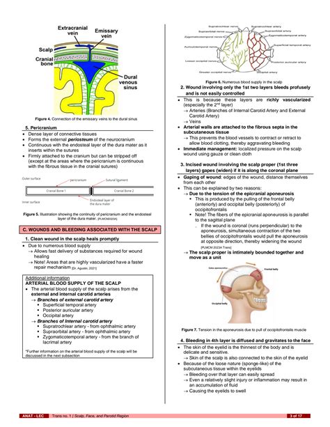 SOLUTION Anat S03 T01 Scalp Face And Parotid Region Studypool