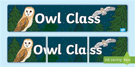 Owl Themed Classroom Display Banner Teacher Made Twinkl