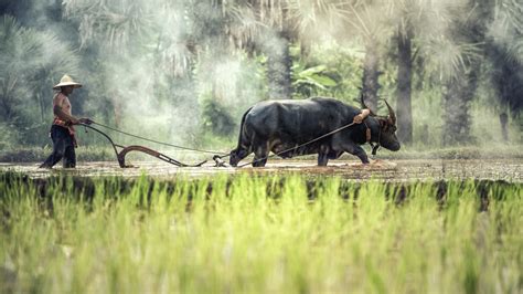 Cosa Vedere In Laos In Giorni Itinerario Per Scoprire Le Meraviglie