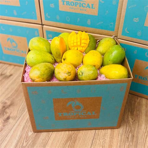 Mingolo Mango Box Medium 8 Pounds Tropical Fruit Box