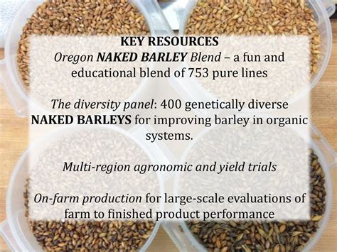 Developing Multi Use Naked Barley For Organic Farming Systems Ppt