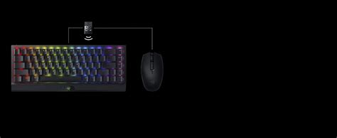 Razer BlackWidow V3 Mini HyperSpeed 65 Kompakte Gaming Tastatur Mit