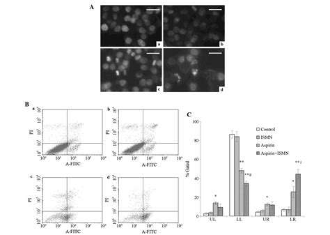 Synergistic Apoptosis Inducing Effect Of Aspirin And Isosorbide