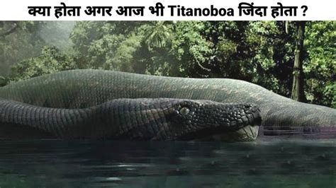 What if Titanoboa Snake Didn t Go Extinct Titanoboa आज जद हत त