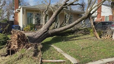 California Winter Storm: Sacramento reels from aftermath of high-speed ...