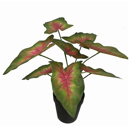 Artificial Plants - Everlasting Red Taro Plant 45cm