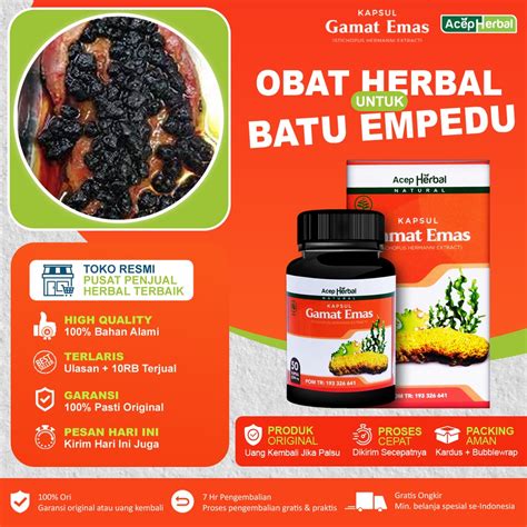 Jual Obat Penghancur Batu Empedu Peritonitis Radang Kantong Empedu