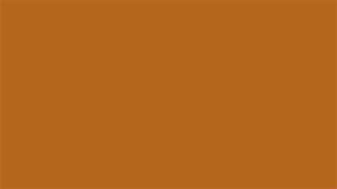 Light Brown Color | b5651d information | Hsl | Rgb | Pantone