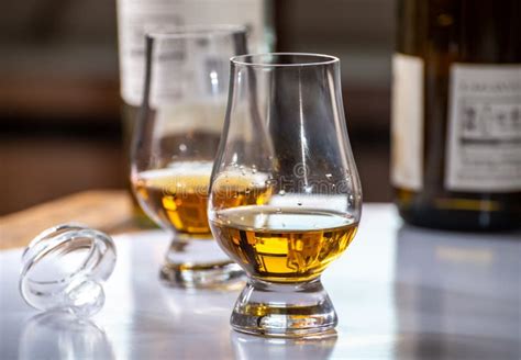 Tasting of Whiskey, Tulip-shaped Tasting Glasses with Dram of Scotch ...