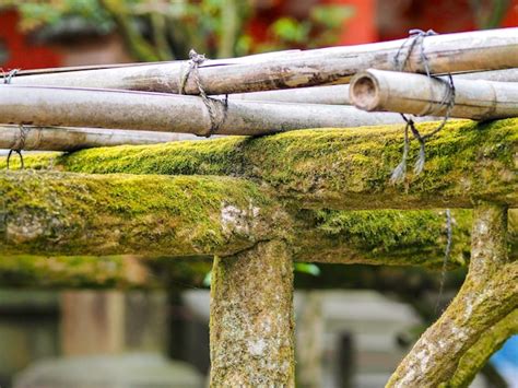 Premium Photo Close Up Of Moss Covered Wooden Fence