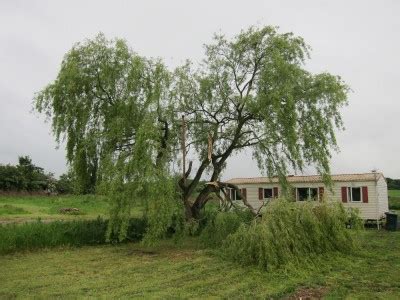 Storm Damage Marsh Flatts Farm Self Build Diary