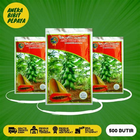 Jual NEW Bibit Pepaya Calina Ipb9 Varietas Unggul Kemasan 10 Gram Isi