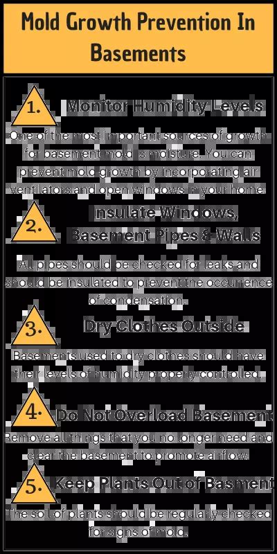 5 Best Ways to Prevent Mold in Your Basement | EnviroKlenz