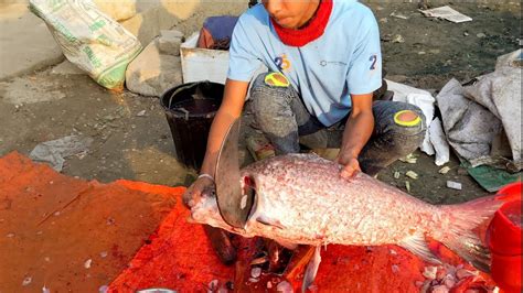 Amazing Cutting Skills Giant Katla Fish Cutting By Expert Fish