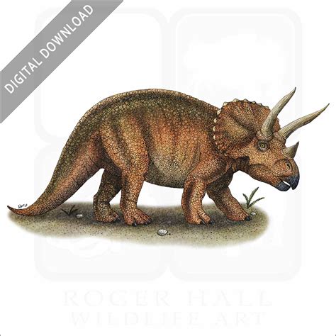 Stock Art Drawing of a Triceratops - inkart