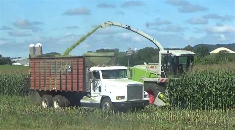 Chopping Corn Silage Claas Chopper Clements Farm Larsonvalleyfarm