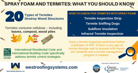 Spray Foam And Termites What You Need To Know Cleveland Ohio