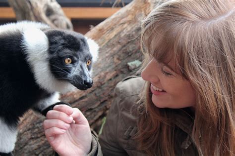 Lemur Close Encounter Te Nukuao Wellington Zoo Reservations