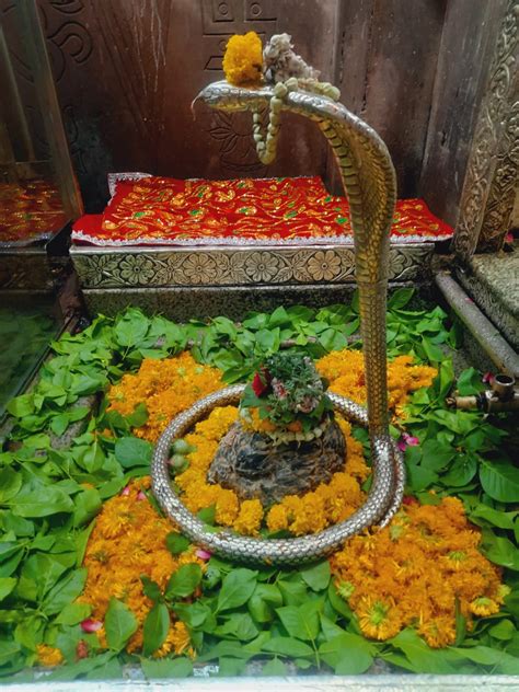 Gorgeous Makeup Of Omkar Mahadev With Flowers And Leaves Do Mangala