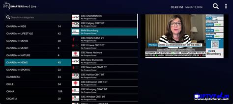 IPTV Smarters Pro Comprehensive Guide To Smart TV Streaming