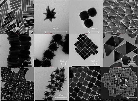 Library Of Nanoparticle Shapes TEM And SEM Micrographs Gold