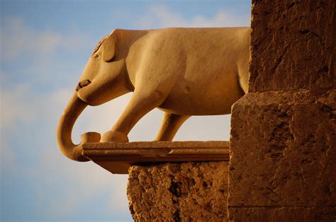 Torre Dell Elefante E San Pancrazio Alla Scoperta Della Cagliari Antica