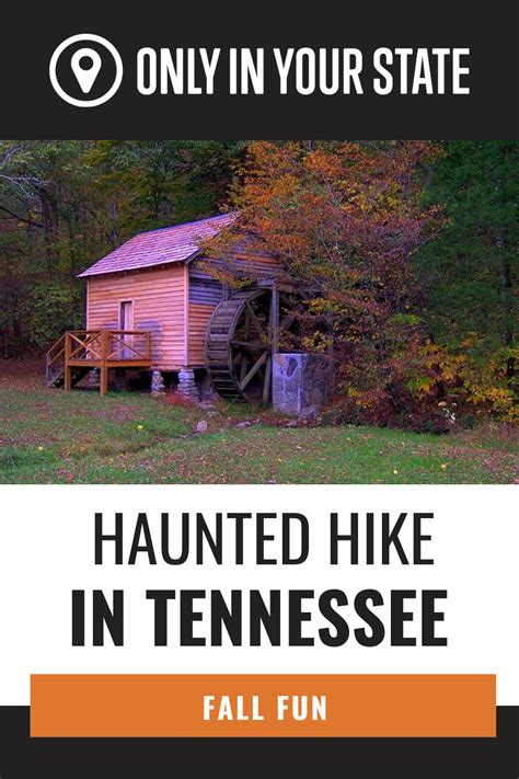 The Ghost House Trail In Tennessee Is The Most Terrifying Hike In