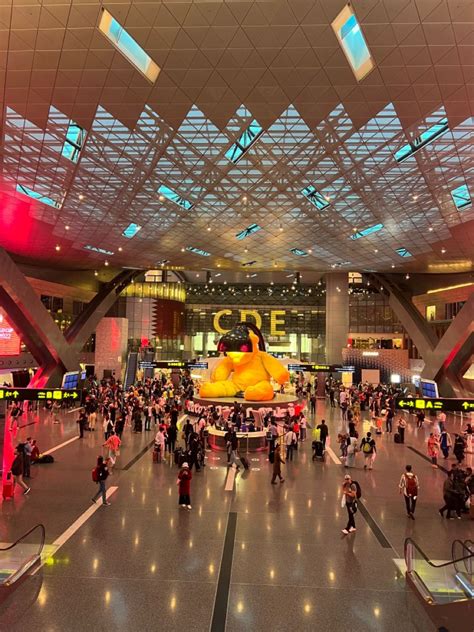 Hamad International Airport Qatar Artofit