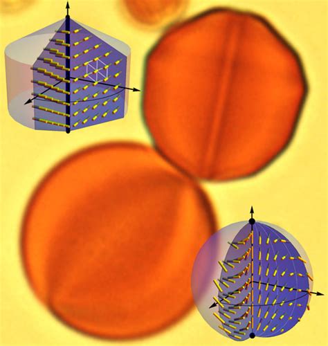 New Research Reveals Liquid Crystals That Dissolve In Water