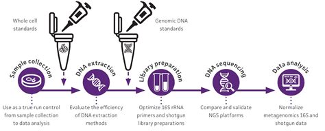 NGS Standards | ATCC