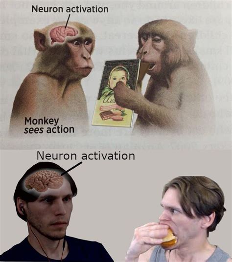 The Science Behind Neuron Activation Meme And How It Impacts The Brain