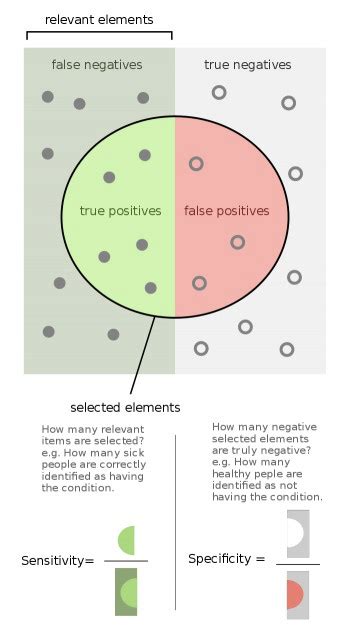 Machine Learning Models Evaluation Infographics Data Analytics Hot