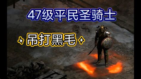 暗黑破坏神2重制版47级平民圣骑士吊打黑毛攻略 Youtube