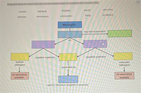 Solved Drag And Drop The Labels Into The Correct Empty Boxes To