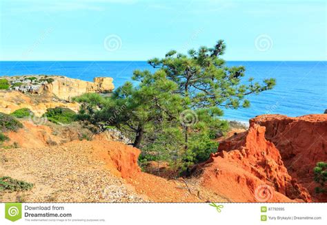 Limestony Cliffs Stock Photos Free Royalty Free Stock Photos From