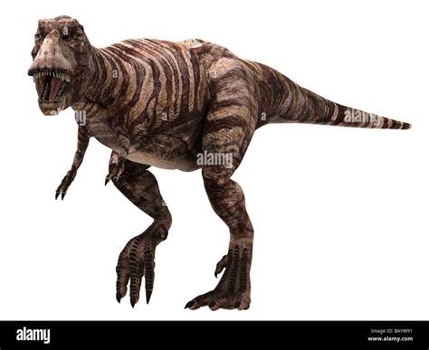 Tyrannosaurus Rex Meaning Tyrant Lizard King T Rex Lived In Western