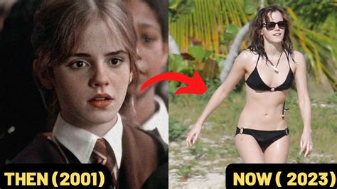 HARRY POTTER CAST THEN AND NOW (2001 & 2023) | HOW THEY CHANGED - YouTube in 2023 | Harry potter ...