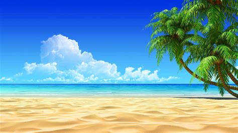 Download Unwind and relax at this stunning beach with this high ...