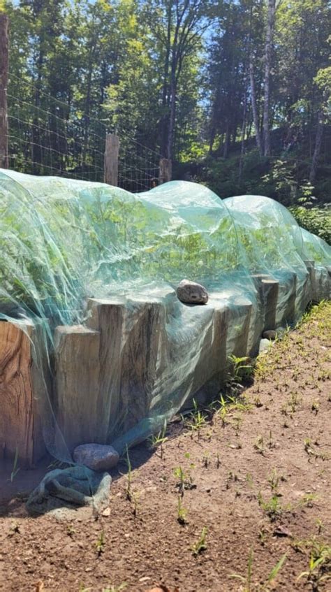 11 Ways To Use Old Or Extra Left Over Metal Fence Food Forest Living