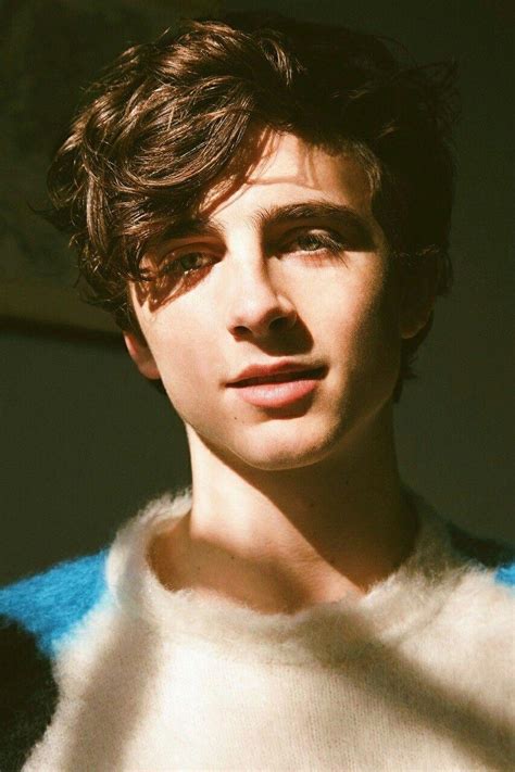 Aesthetic Timothee Chalamet Wallpapers - Wallpaper Cave