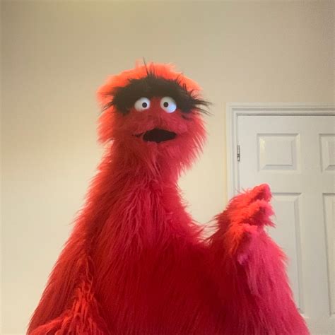 Professional Muppet Style Live Hand Monster Puppet Muppets,, 55% OFF