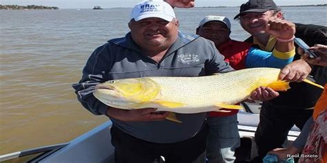 Paso De La Patria Espera La Llegada De Miles De Turistas XX Torneo